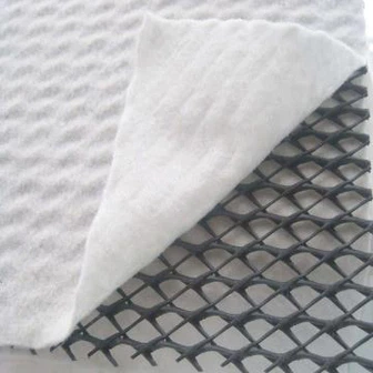 מורכב GEONET